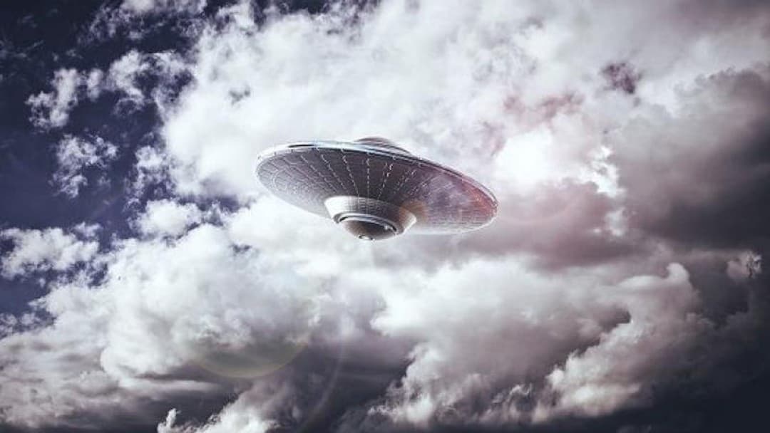 Allies or aliens? Tips for managing the MP/FD relationship
