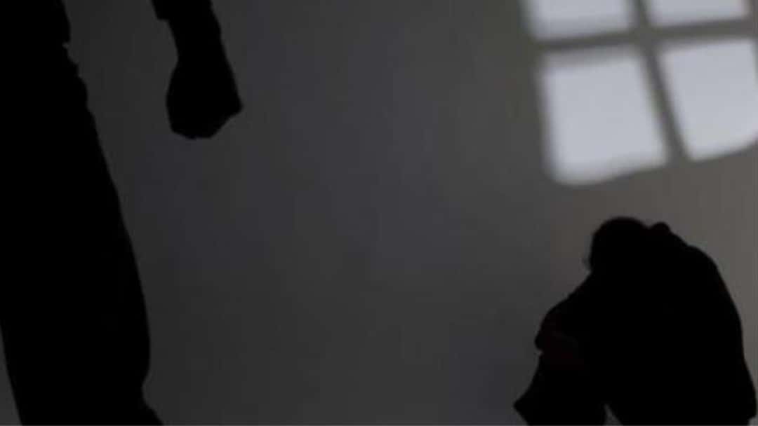 Views sought from domestic abuse victims