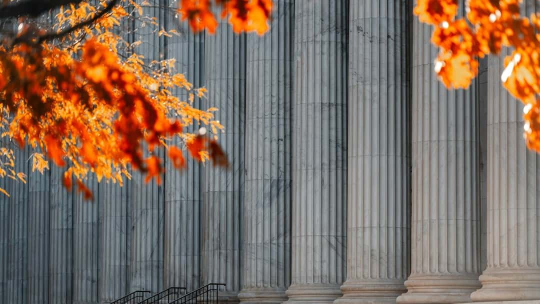 Carney vs Bank of Scotland – Court of Appeal – [2024] IECA 309 – Case Summary