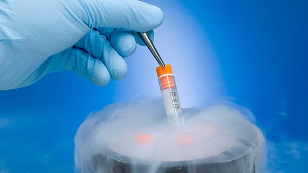 Firms providing financial assistance to freeze embryos to delay having a baby