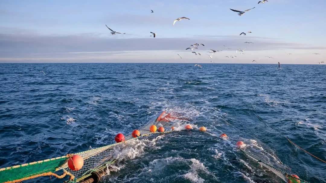 Migrant fishermen seek compensation from UK Government