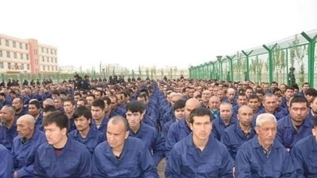 SUG challenges Shein’s LSE listing over forced labor ties