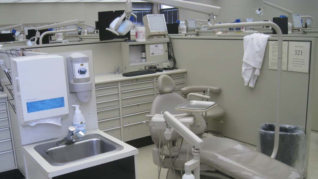 Knights dental team sees significant growth