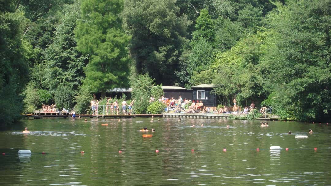 Sex Matters v City of London: judicial review refused over Hampstead Heath pond access policy