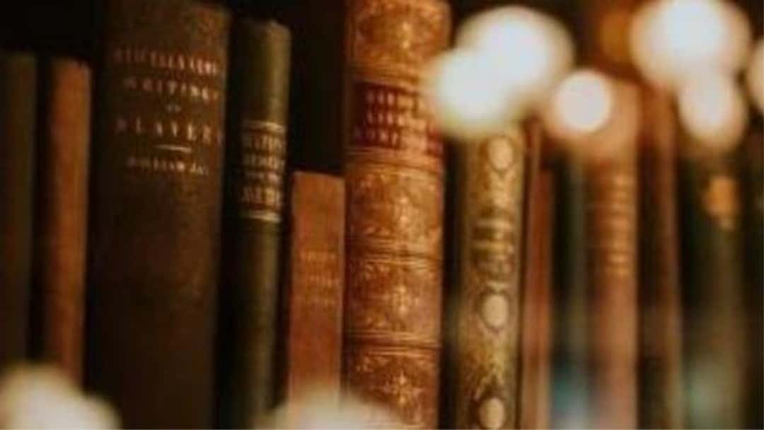 High Court exposes risk of McKenzie Friends