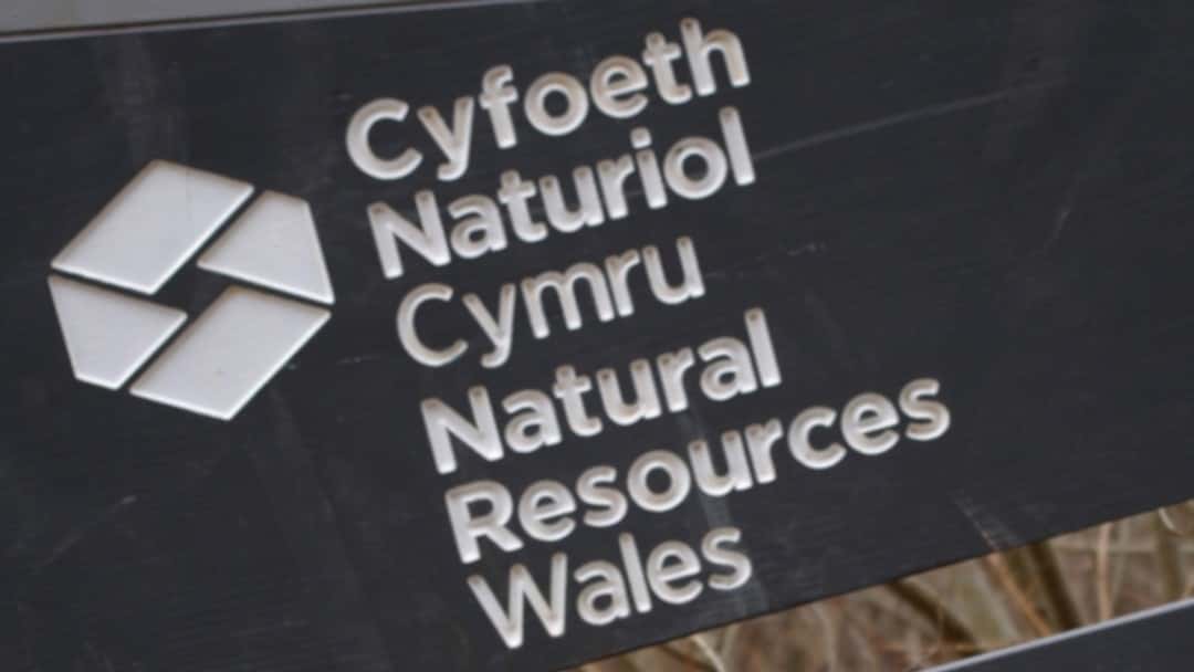Williams and Owen challenge Natural Resources Wales embankment decision
