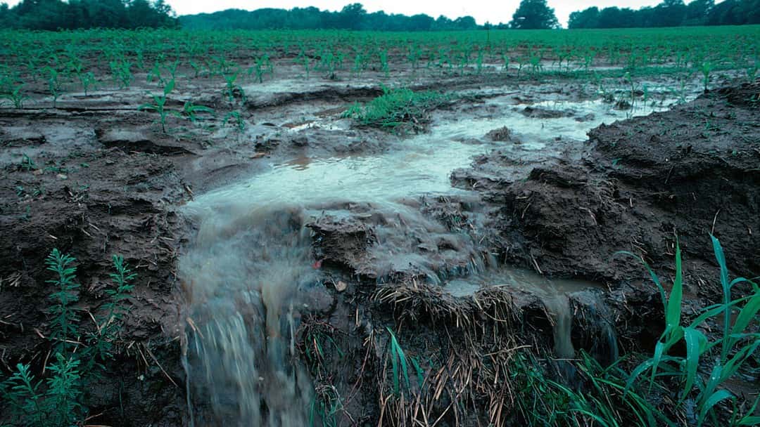 First-tier Tribunal allows nitrate vulnerable zone appeal in Joyce case