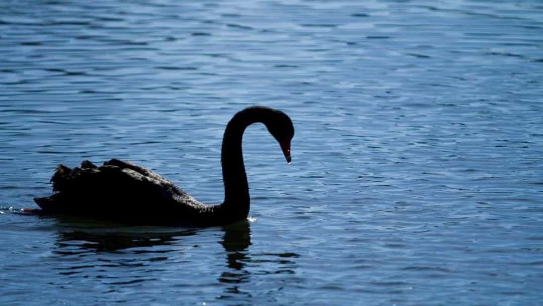 The Siskina is 'laid to rest': groundbreaking decision on injunctive relief