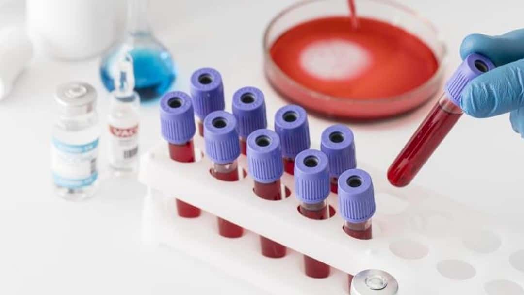 Blood Inquiry: closing hearings