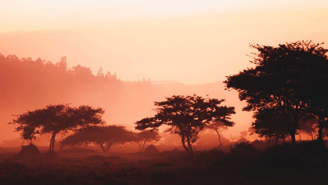 A collision course with the law: the seismic importance of the Supreme Court’s Rwanda judgment