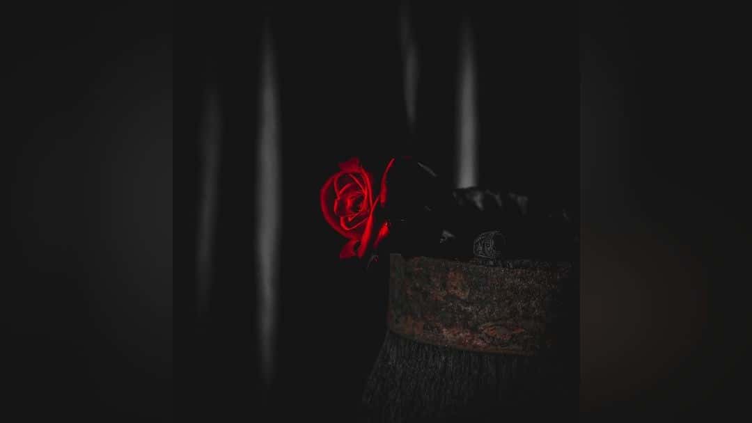 ‘J’ ACCUSE…!’