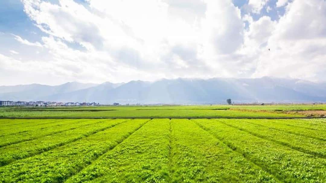 Supreme Court set to rule on importance of trust over public recreation land