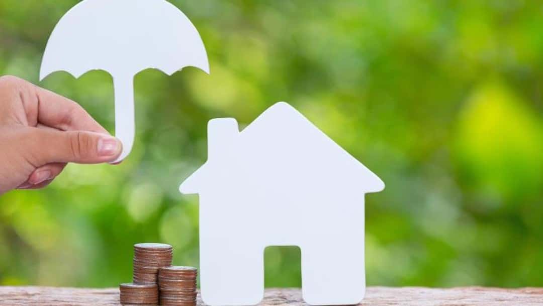 FOIL technical director