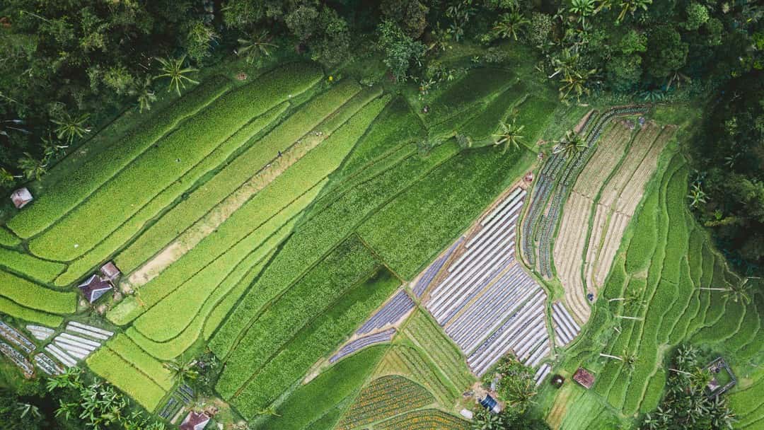 Redefining the green belt: the rise of grey belt planning