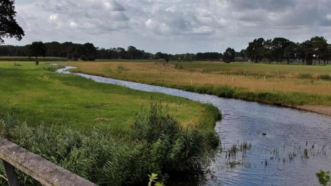 Strengthening enforcement against water pollution