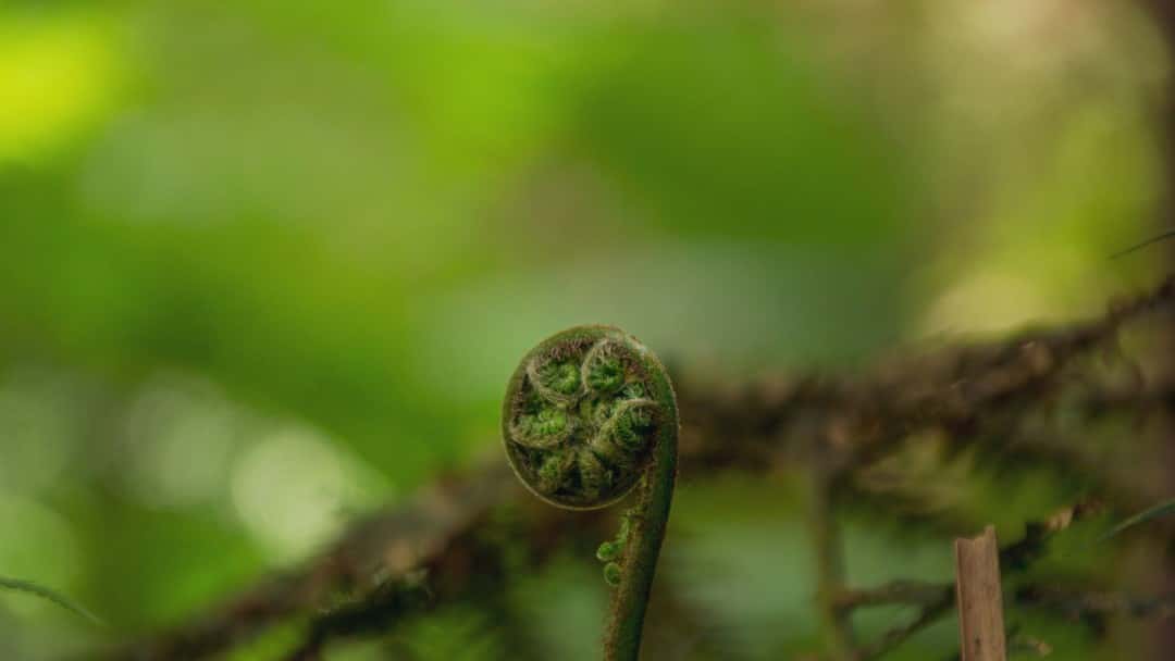 How lawyers can translate climate goals into enforceable contracts