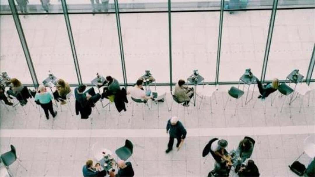 Judicial review: the value of the public interest