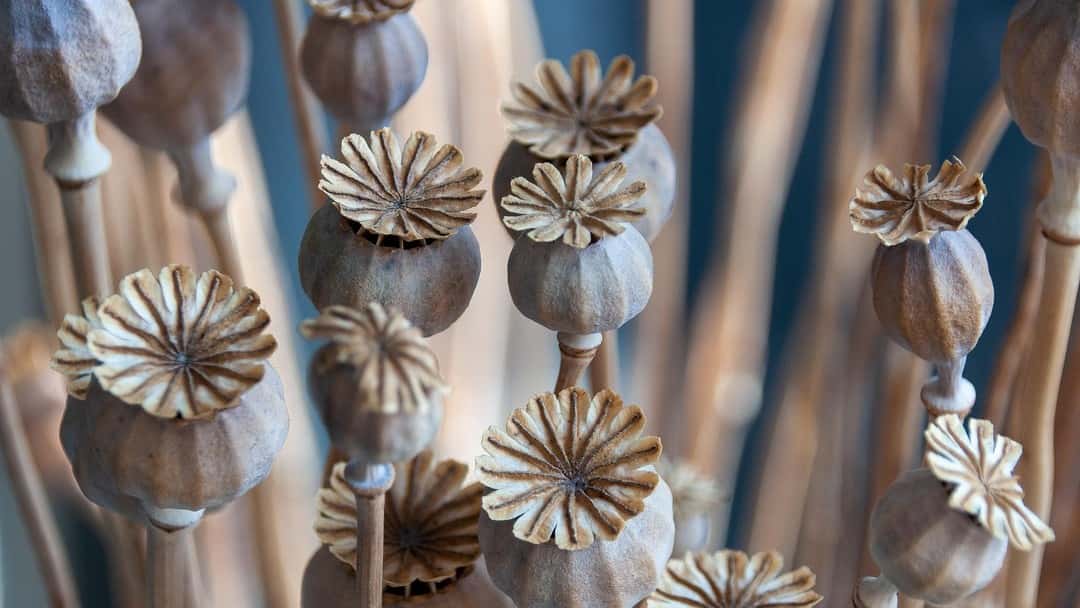 Court ruling clarifies legality of imports