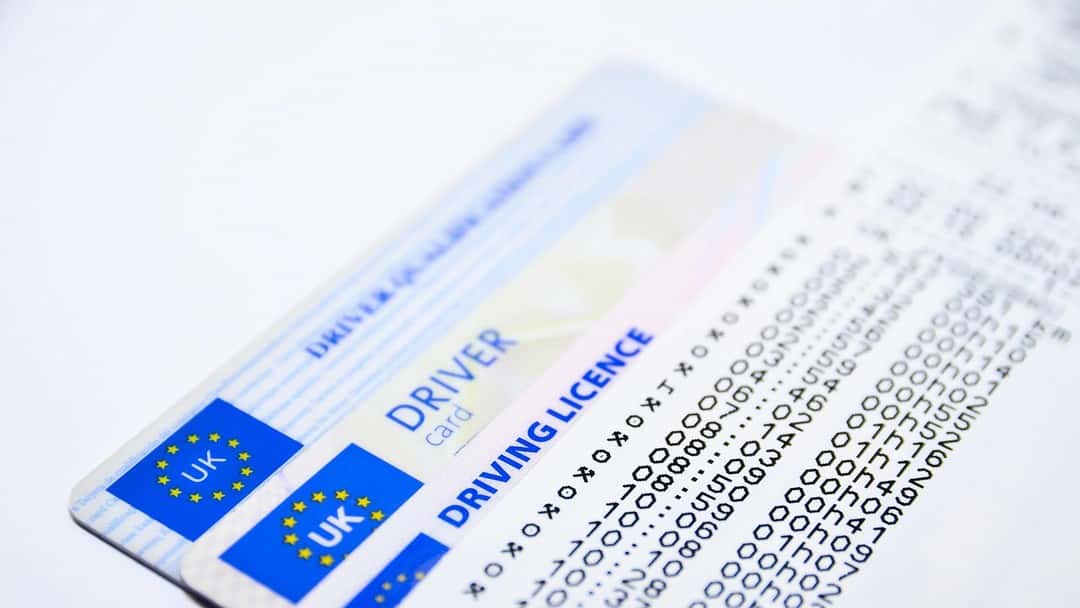 Tribunal upholds instructor disqualification ruling