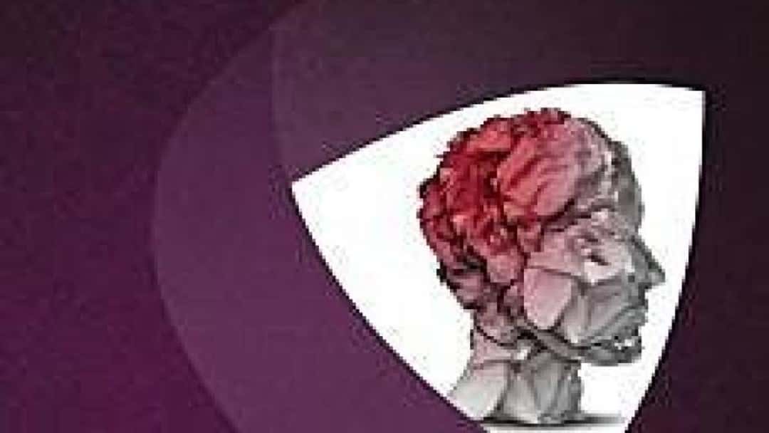 New wellbeing book launched for lawyers