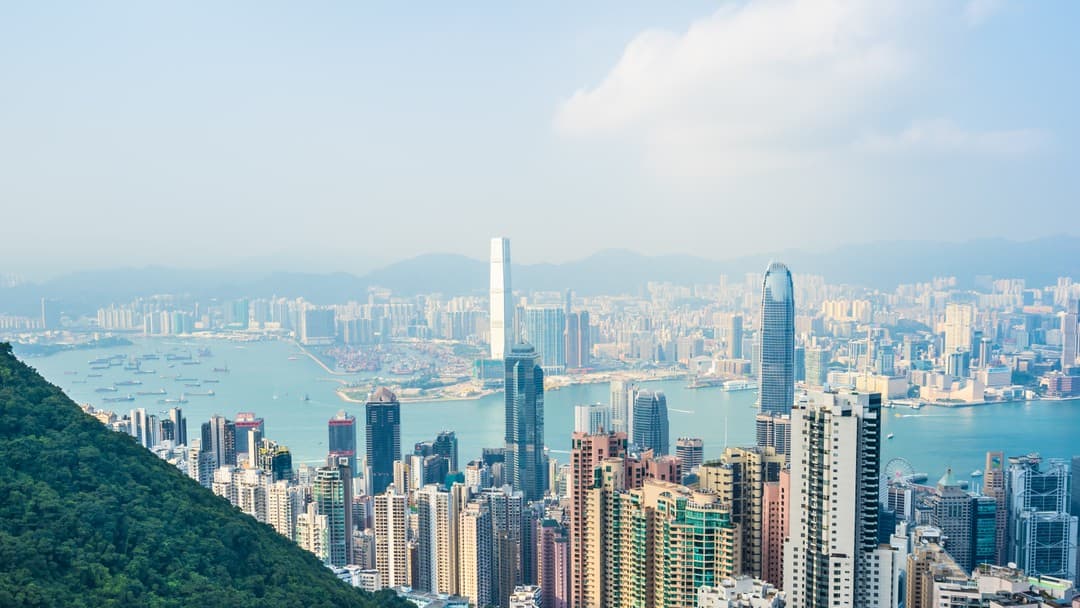 New arrest warrants for activists condemned