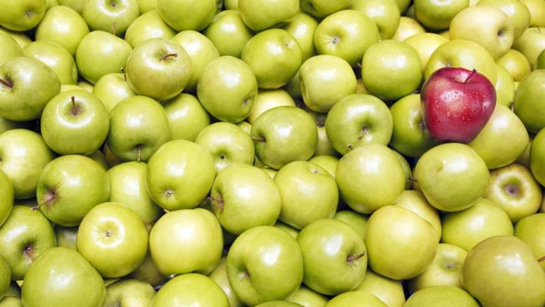 Former solicitor's discrimination claim falls at first hurdle