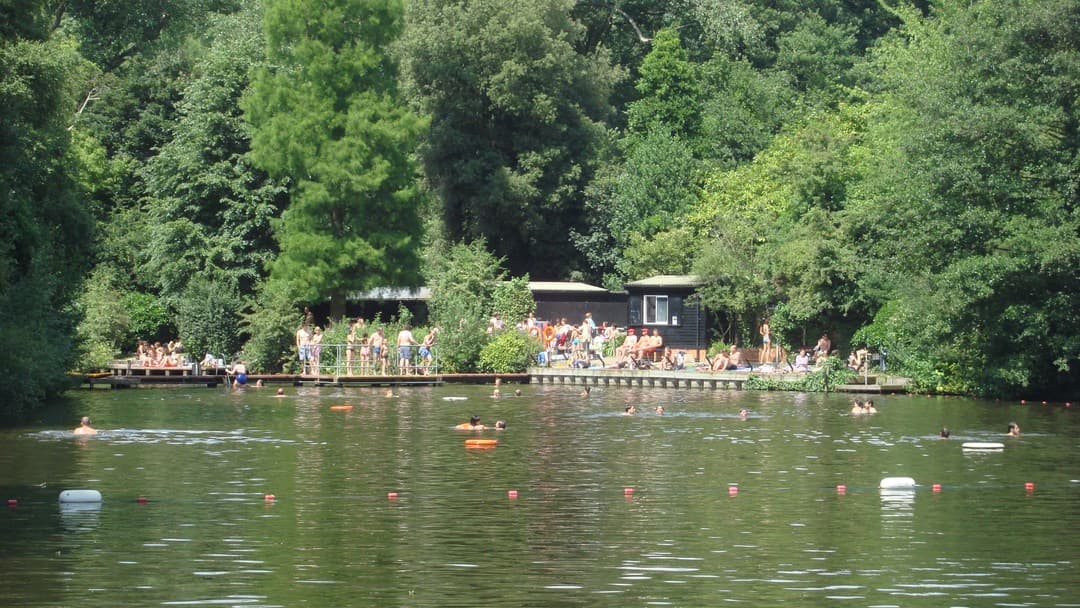Sex Matters v City of London: judicial review refused over Hampstead Heath pond access policy