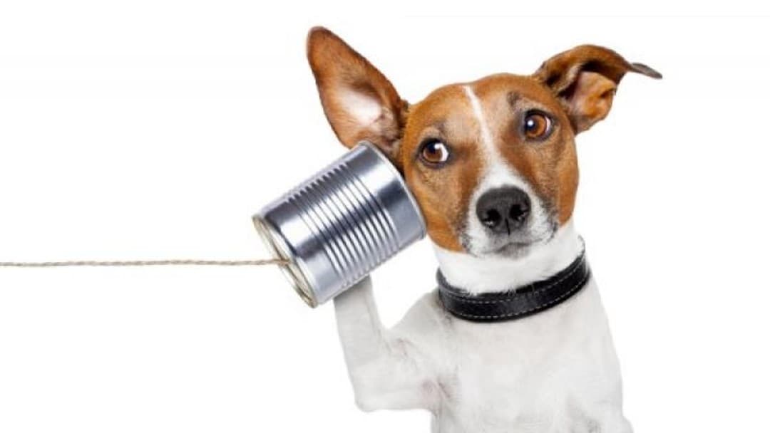 Are you listening to your clients?