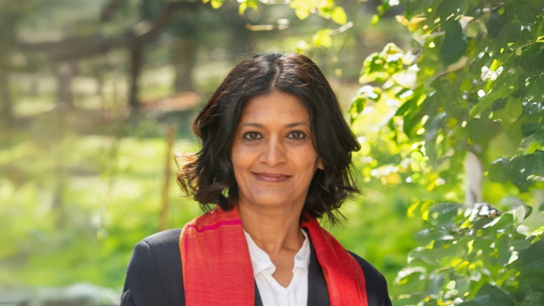 Monisha Shah nominated as LSB Chair  