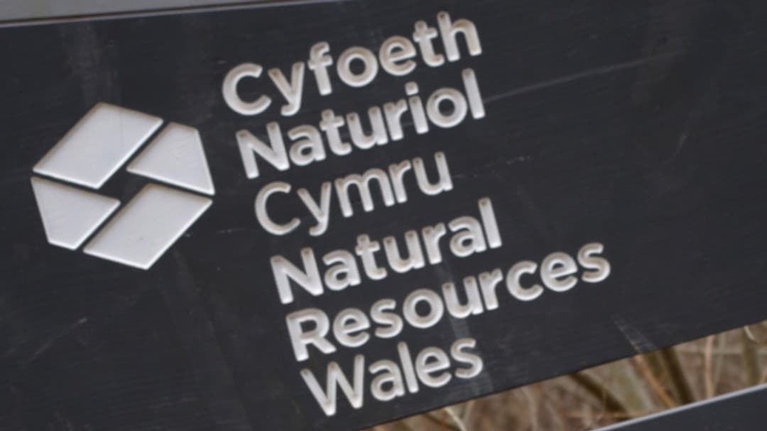 Williams and Owen challenge Natural Resources Wales embankment decision