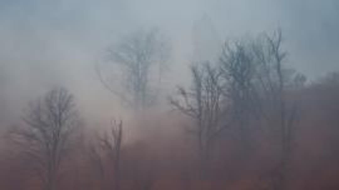 The Dreamvar nightmare