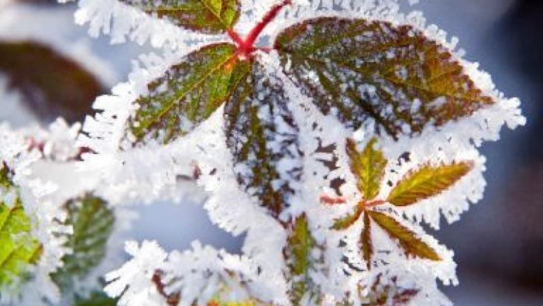 Charities and Appeals Supplement Autumn/Winter 2015