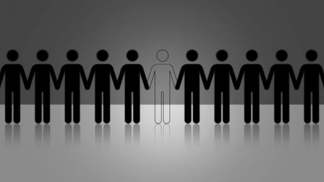 Guardianship law delay causing 'distress', Labour warns