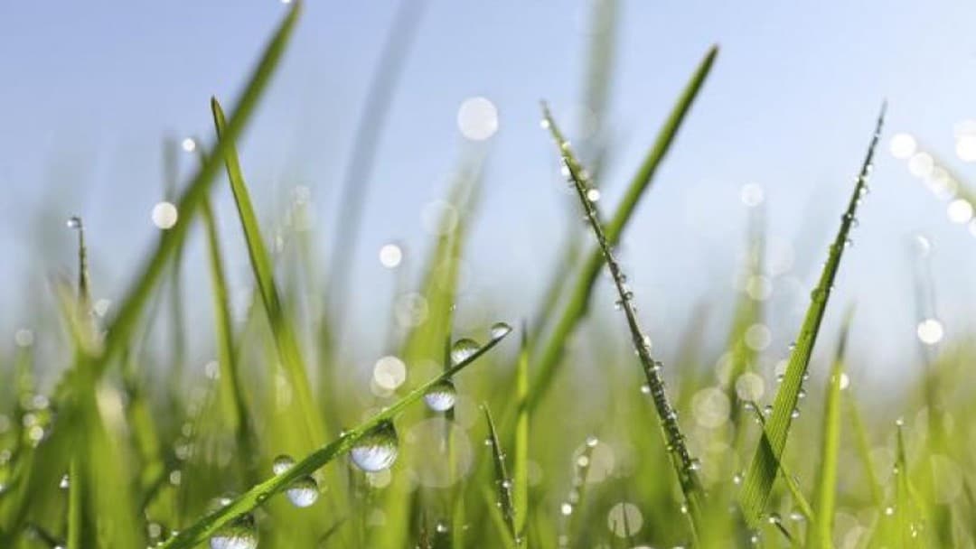 Spring awakening: Private client changes in the Budget