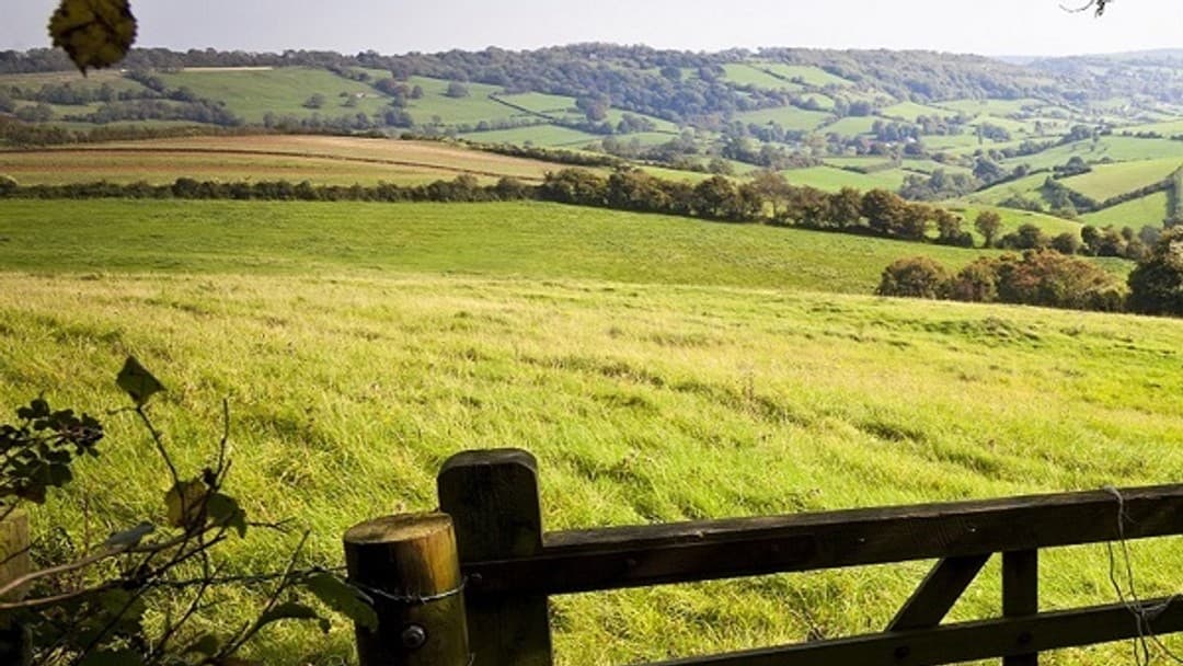 Guest v Guest - Where are we now?