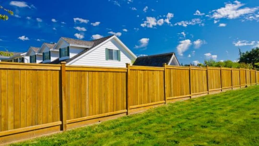 Crossing the line: neighbour property disputes