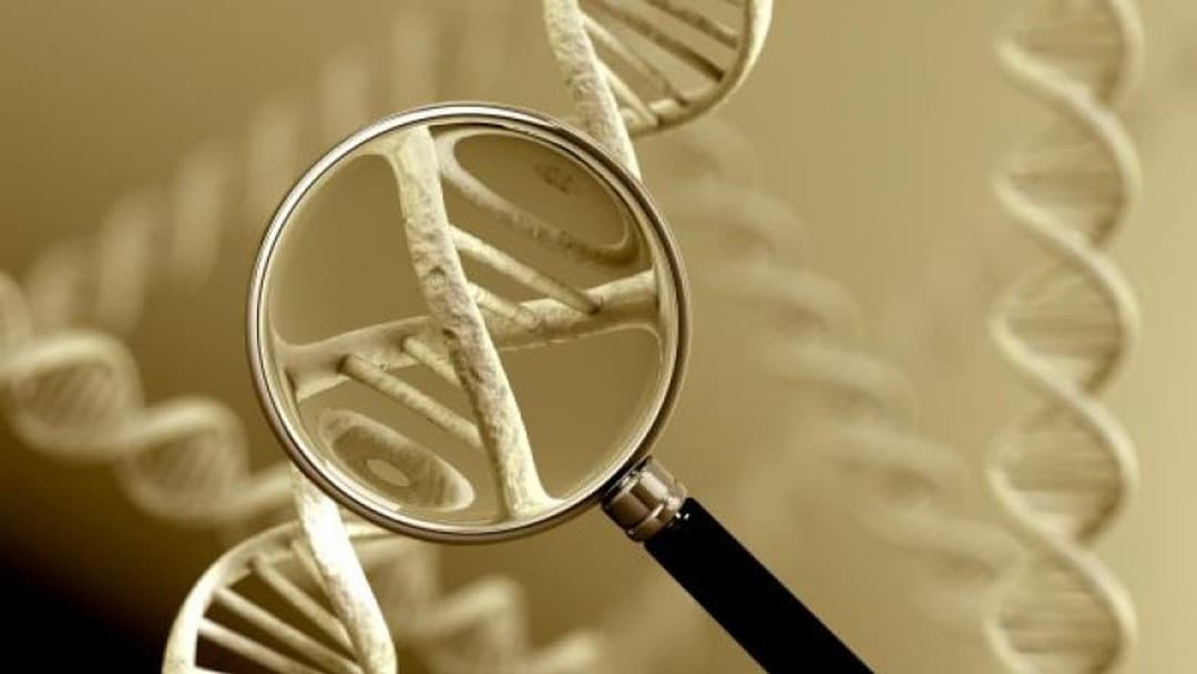 Courts to order DNA testing to cut courtroom battles