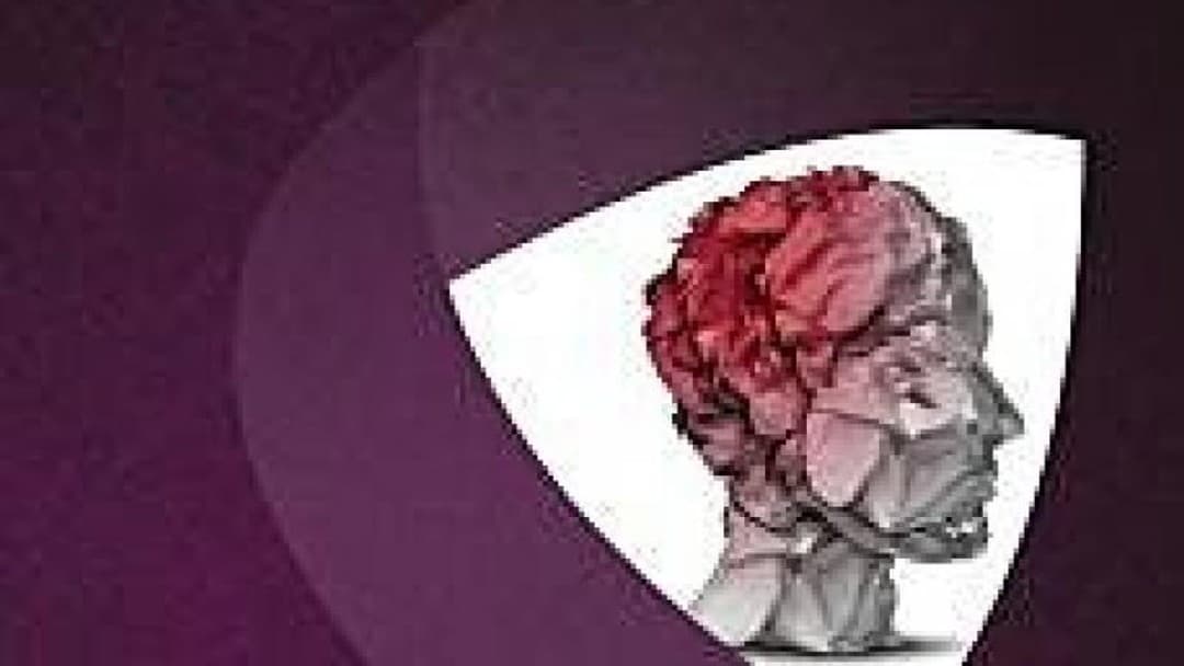 New wellbeing book launched for lawyers