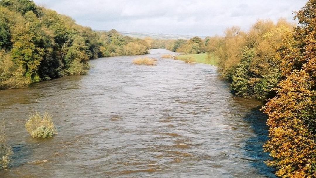 High Court to hear case for judicial review over Environment Agency’s failure to protect River Wye from agricultural pollution