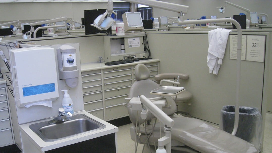Knights dental team sees significant growth