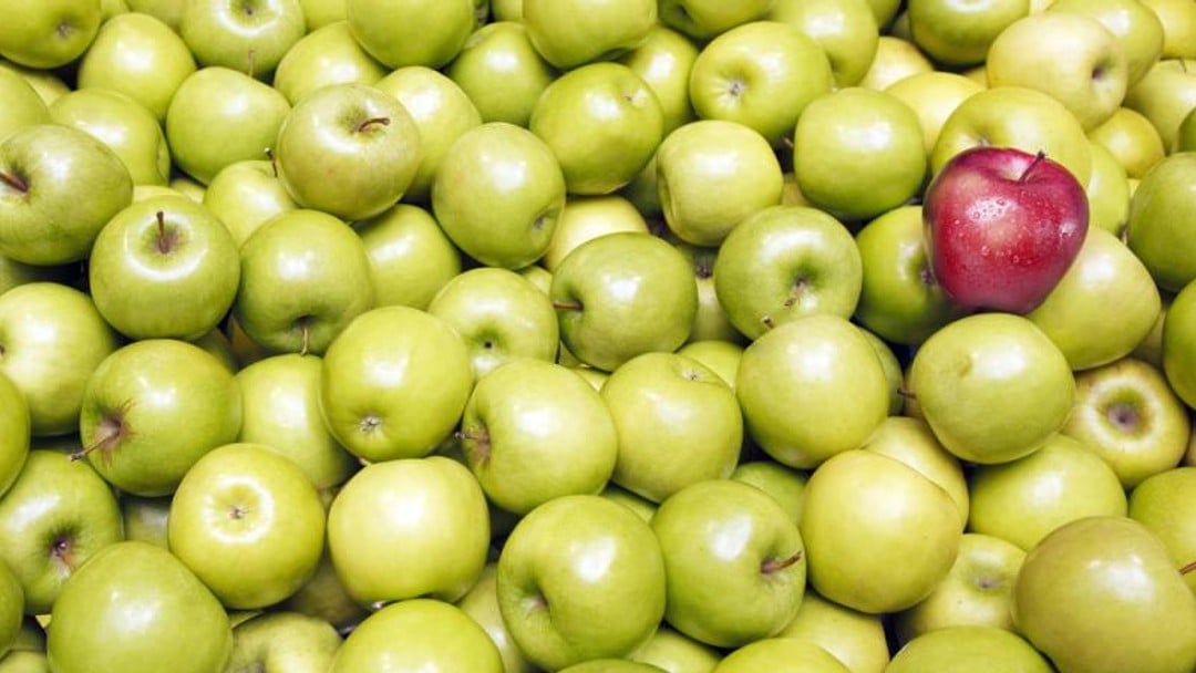 Former solicitor's discrimination claim falls at first hurdle