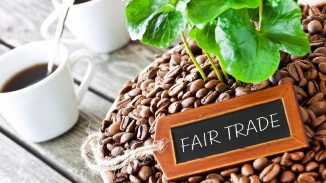 Law Commission clarifies legal framework for social investment by charities