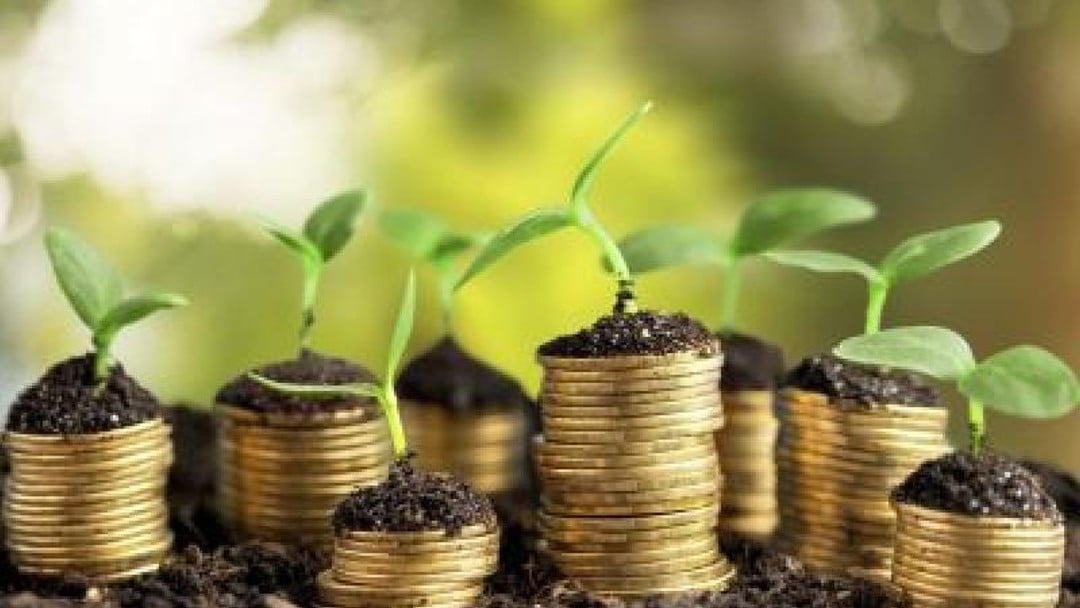 The truth of the non-dom matter