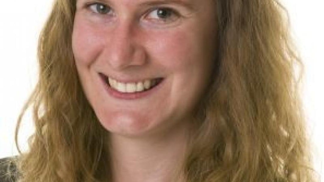 An alternative to litigation?