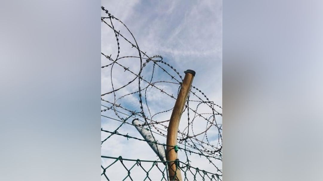 Prison reforms aim to cut numbers