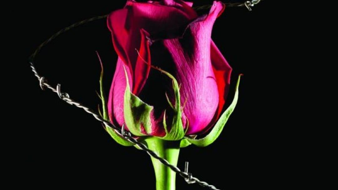 Relationship secrets: How to institutionalise new clients in 100 days