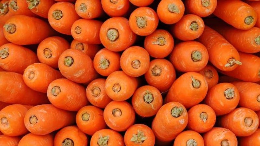 Survive or thrive? Growing profits in Scotland during the recession