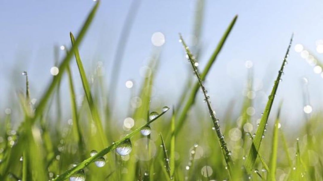 Spring awakening: Private client changes in the Budget