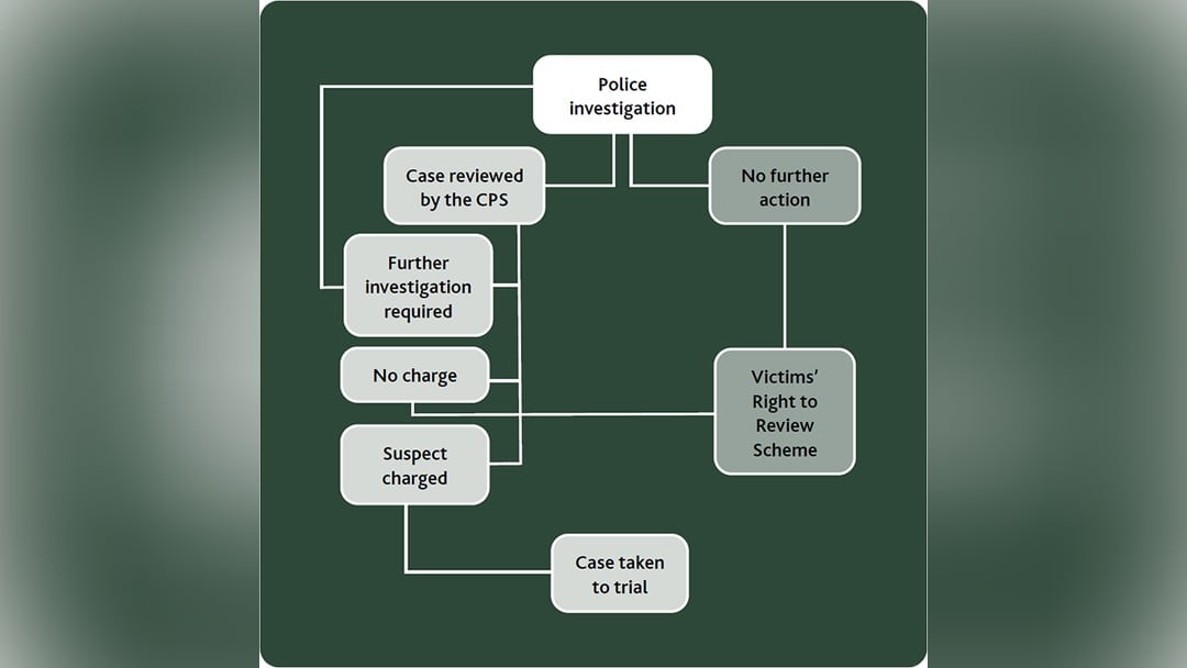 Flow chart that summarises the processes and possible outcomes following a police investigation