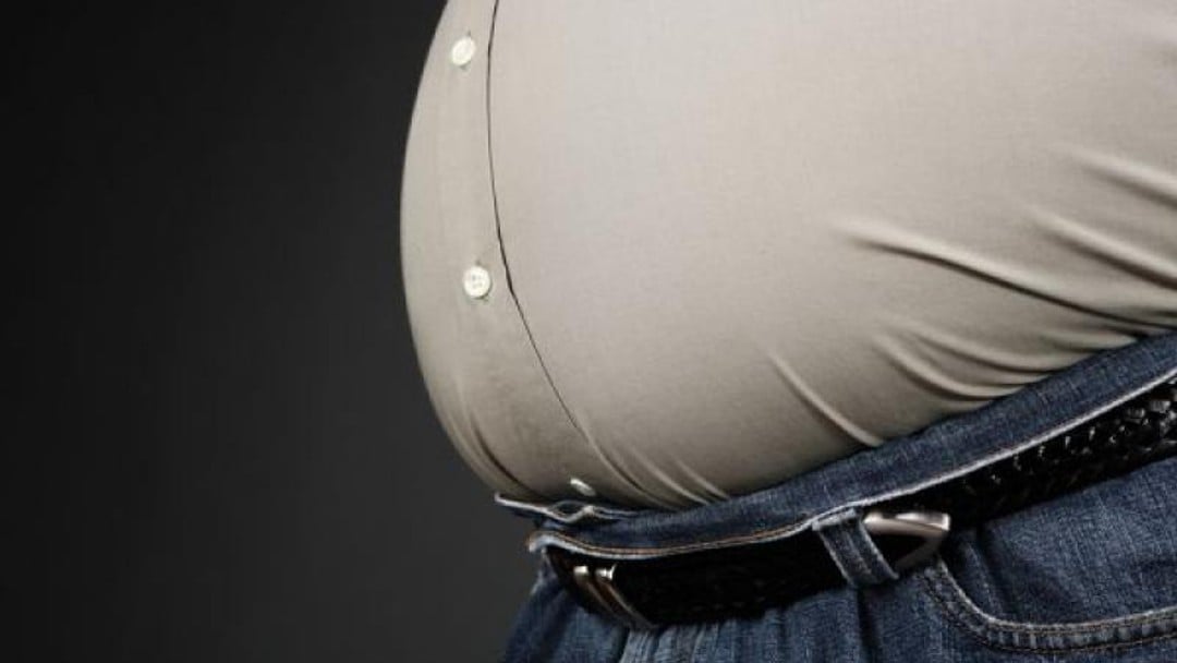 European Court of Justice decides obesity 'could be a disability'